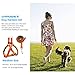 URPOWER Dog Harness Durable Dog Leash Heavy Duty & Adjustable Dog Collar Anti-Twist Dog Leash Harness for Small Medium & Large Dogs Perfect for Walking Running Training (M(14.5