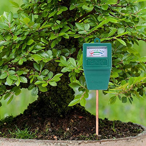 Censinda Soil Moisture Meter，Garden Moisture Sensor Hygrometer Soil Water Monitor for Farm/Lawn/Indoor/Outdoor Plants - Thumbnail 5