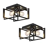 Feanron 2-Light Flush Mount Ceiling Light