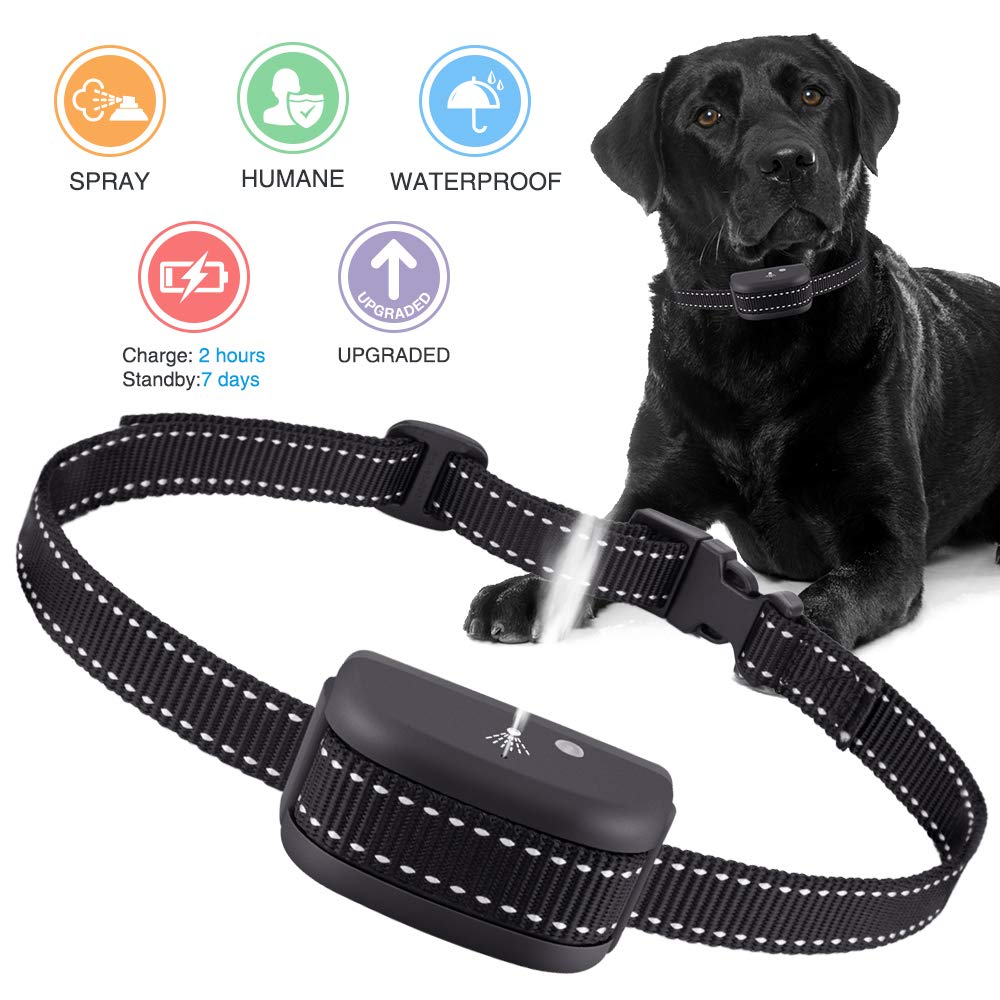 premium paws barking control collar