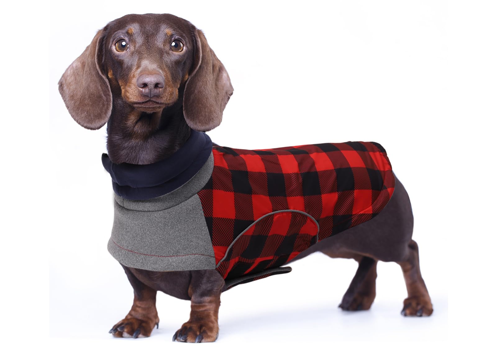 Babepet Waterproof Small Dog Winter Coat, Dachshund Jacket With Harness Hole - Ideal for Walking, Hiking, Camping - Red Plaid - Size S