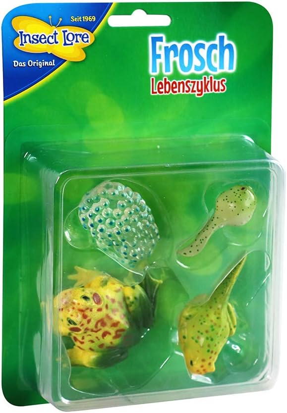 HCM Kinzel 48142 Insect Lore - Ciclo di Vita in plastica Multicolore