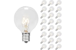 Novelty Lights 25 Pack G40 Clear Outdoor Globe Bulbs, Light Bulbs Glass Incandescent Bulbs with 3000 Hour Lifespan, Globe Str