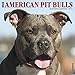 Just American Pit Bull Terriers 2019 Wall Calendar (Dog Breed Calendar)