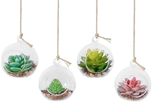 TQVAI 4 Pack Hanging Glass Globe Air Planter Terrarium Vase with 39 inch Sling (Not Included The Plants)