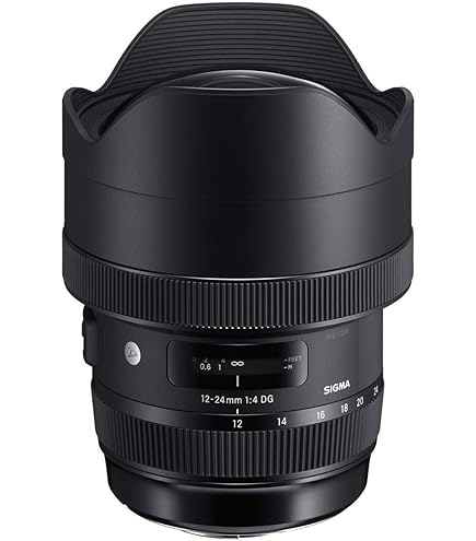 Amazon.com : Sigma 12-24mm f/4.5-5.6 AF II DG HSM Lens for Canon