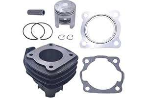 GOIRTUTSS 50cc Cylinder Piston Top End Kit fit for Honda NQ50 Spree, Elite SB50/SB50P (1984-1990), Replaces OEM 12101-GK8-000, 12251-GN2-000