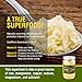 GOLD MINE Organic Sauerkraut, 16 OZ