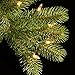 National Tree Company Pre-lit 'Feel Real' Artificial Giant Downswept Christmas Tree, Green, Douglas Fir, White Lights, Includes Stand, 10 feet