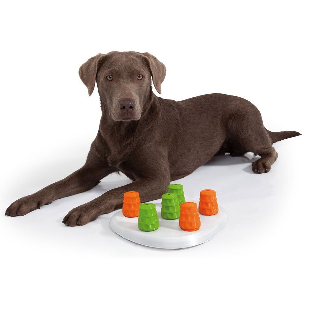 Edupet Dog Sniffer Interactive Food Dispensing Toy