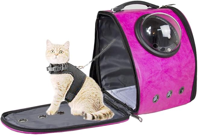 cat backpack holder