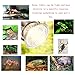 STTQYB 50W UVA + UVB Full Spectrum Sun Lamp Sunbathe Reptile Lizard Lamp UV Heating Lamp