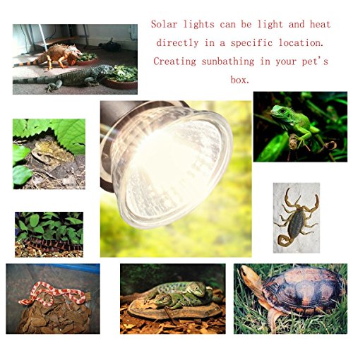 STTQYB Sun Lamp Reptile Heat Lamp UVA + UVB Full Spectrum Sun Lamp Sunbathe Reptile Lizard Lamp UV Heating Lamp (75W-4P)