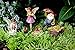 PRETMANNS Fairy Garden Fairies Accessories – Miniature Gnome & Farm Animals – 6 Piece Set – Part of The Fairy Farm Collection
