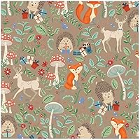 Jillson Roberts 6-Roll Count Baby Shower Gift Wrap Available in 5 Different Designs, Krafty Fox