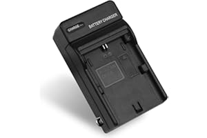 RAINY KING LP-E6 Battery Charger for Canon EOS 5D Mark II, EOS 5D Mark III, EOS 60D, EOS 60Da, EOS 6D, EOS 70D, EOS 7D, EOS 7D Mark II, Replacement for Canon LC-E6 LC-E6E Charger