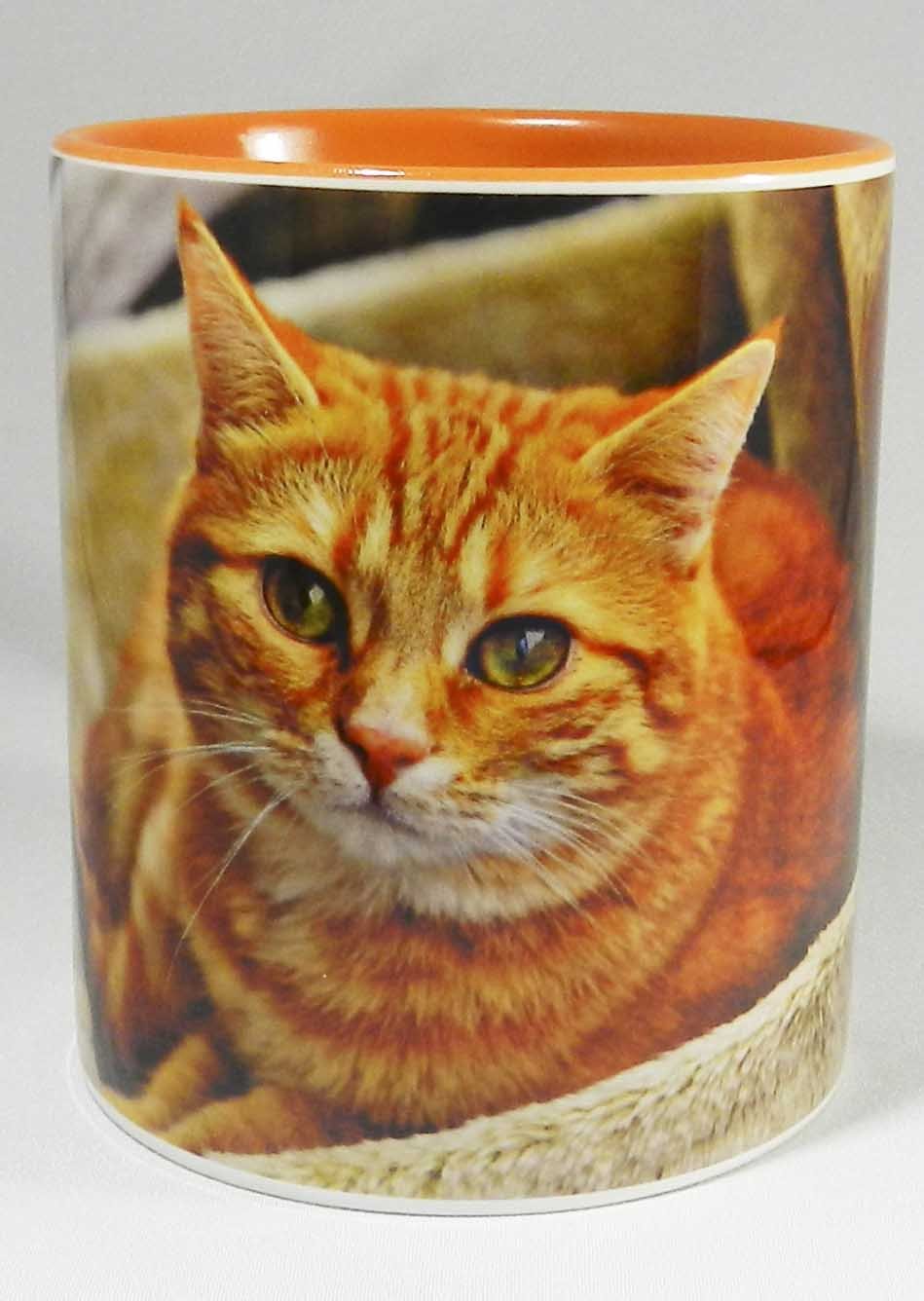 Half a Donkey The Big Ginger Cat Mug with Orange Glazed Handle and Inner