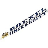 Desert Cactus Drexel University Sticker Dragons Name Logo Vinyl Decal Laptop Water Bottle Car Scrapbook (8 Inch Sticker)