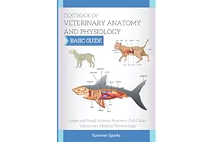 Textbook of Veterinary Anatomy and Physiology: Large and Small Animal Anatomy. Veterinary Medical Terminology