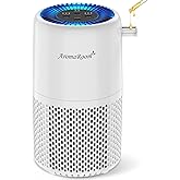Air Purifier for Home Bedroom, AromaRoom H13 HEPA Air Filter For Smoke Pollen Dander Hair Smell Air Cleaner, 3-in-1 Filter wi