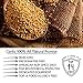 Raw Golden Flax Seeds, 1 LBS - Top 14 Food Allergy Free & NON GMO by Gerbs - Vegan & Kosher