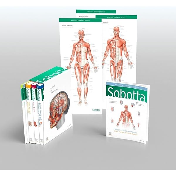 Sobotta Clinical Atlas of Human Anatomy, one volume, English