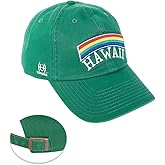 Desert Cactus University of Hawaii Baseball Hat Rainbow Warriors UH Brimmed Embroidered Hats Cap Adjustable Cloth Strap Adult (Style D)