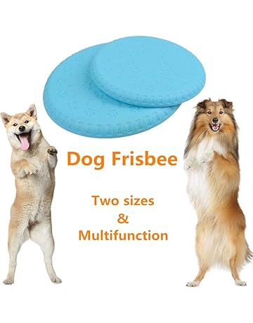 run fetch play woof frisbee
