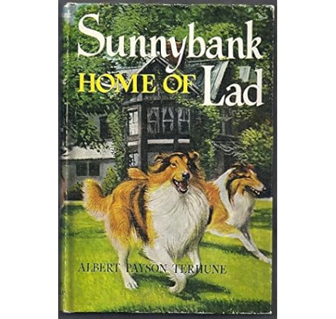 sunnybank collies