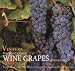 Vinifera: The World's Great Wine Grapes and Their Stories, 2010 Calendar by