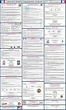 2017 Iowa State and Federal Labor Law Poster - Laminated 24