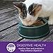 Wellness Kittles Crunchy Natural Grain Free Cat Treats, Salmon & Cranberries, 2-Ounce Bag