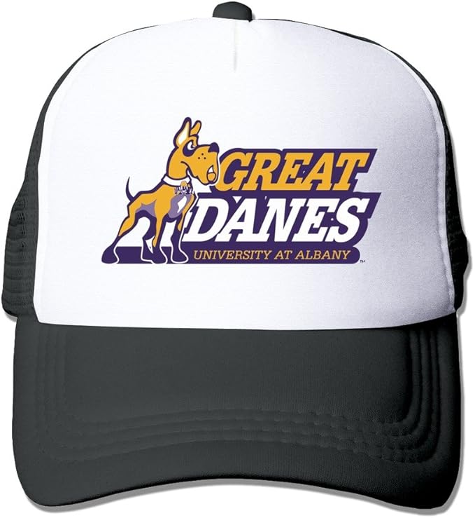 A&W Albany Great Danes Secondary Logo Black Adjustable Snapback Hat
