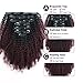 Sassina Seamless Two Tone Ombre Afro Kinky Curly Human Hair Extensions Double Wefts Clip on Remi Hair Natural Black Fading into Cherry Wine 120 Grams per Set With 7 Pieces 17 Clips ACTN99J 14 Inch