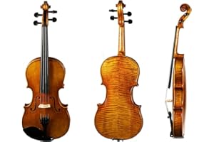 D Z Strad Viola Model N2011 with D Z Strad Bow, Case, Rosin and Shoulder Rest (14" - Size)