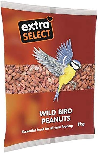 Extra Select Whole Peanuts for Wild Birds 3kg Bag High Protein Fat Aflatoxin