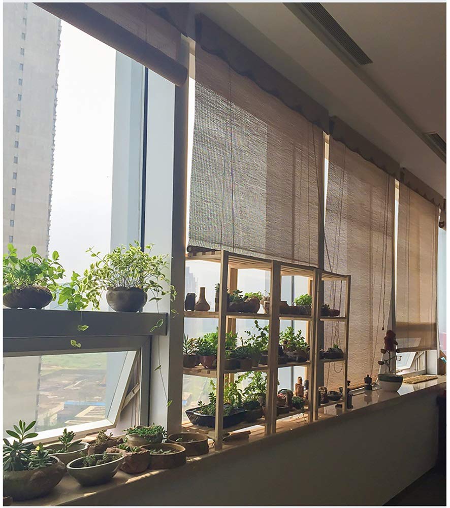Bamboo Roller Windows Shades Light Filtering Roll Up Blinds With