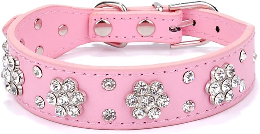 leather female dog collars