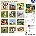 American Pit Bull Terriers 2017 Calendar