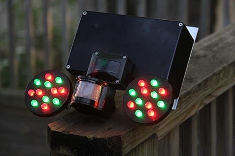 Amazon Com Illuminator Hog Hunting Feeder Light Sports Outdoors