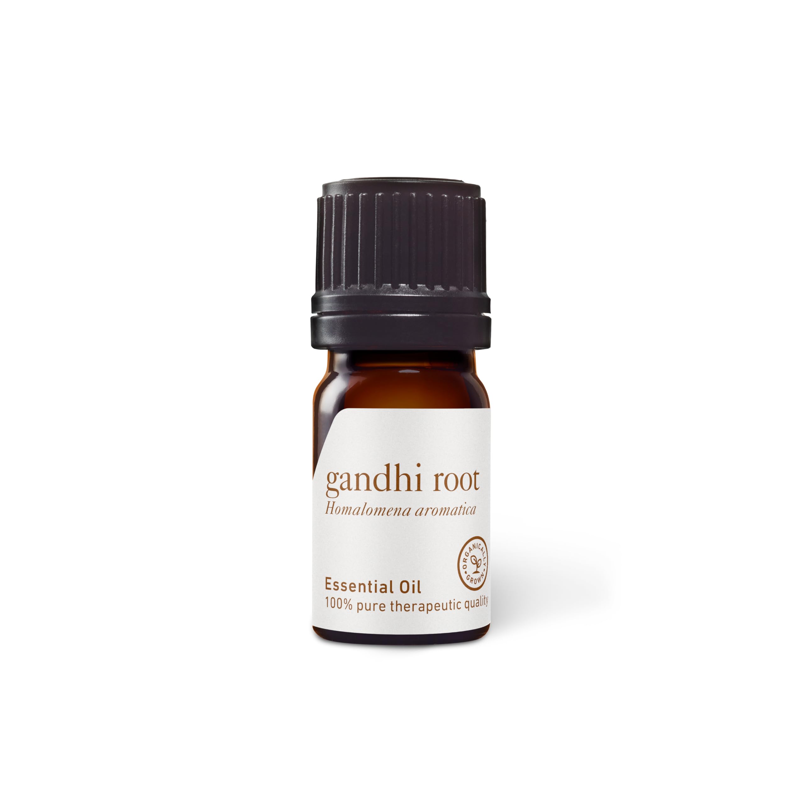 Aromatics International Ghandi Root Essential Oil 5ml