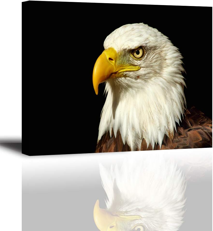 Tku's Bald Eagle Canvas Wall Art for Bedroom, Black and