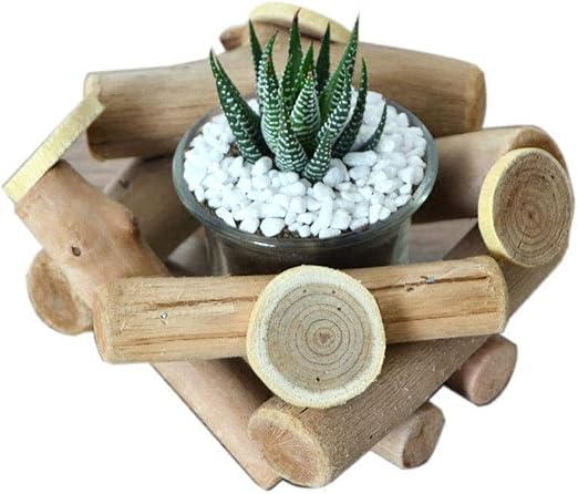 XHZJ Huang Li plantas suculentas macetas de madera de material a ...