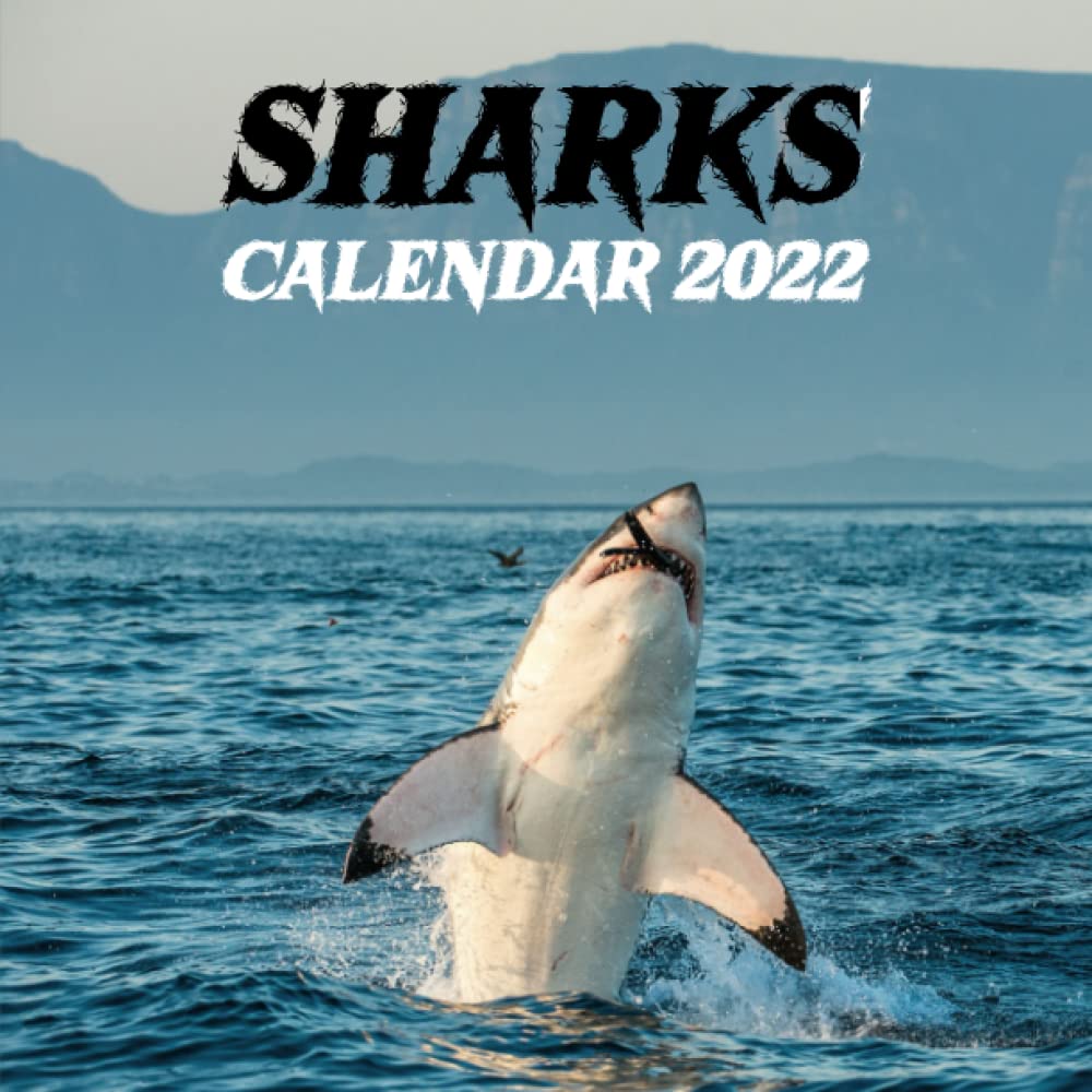 Sharks Calendar 2022: 12-Month Calendar, Cute Gift Idea For Shark Lovers Men And Women: Shark, Id: 9798493793035: Amazon.com: Books