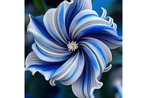 500 Rare Double Hibiscus Seeds, Giant Rainbow Hibiscus Flower Seeds, Fragrant Perennial Flowers for Home Garden, DIY Plant Gi