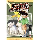 Case Closed, Vol. 29: What Ms. Jodie Saw