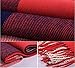 Women's Fashion Long Shawl Big Grid Winter Warm Lattice Large Scarf (Red)