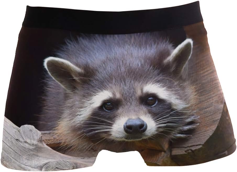 PINLLG Raccoon Wildlife Cute Boxer Briefs for Men Boy Youth Soft Comfort Underwear Polyester Spandex