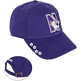 Desert Cactus Northwestern University Baseball Hat NU Wildcats Brimmed Embroidered Hats Cap Adjustable Cloth Strap Adult (Style O) Purple
