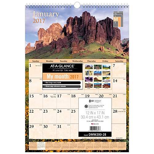 AT-A-GLANCE Wall Calendar 2017, Monthly, 12 x 17